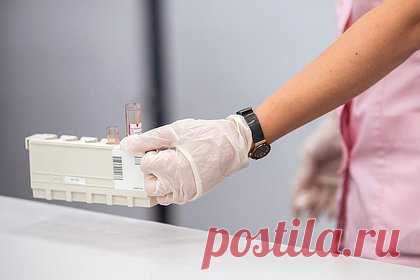 Иммунолог перечислил самые опасные симптомы новых штаммов коронавируса. У новых штаммов коронавируса, распространяющихся в России, таких как «эриус» и «пирола», нет ярко выраженных клинических отличий от предшественников. Тем не менее пациентов должны насторожить такие симптомы, как резкая боль и одышка. Об этом «Ленте.ру» рассказал иммунолог Николай Крючков.