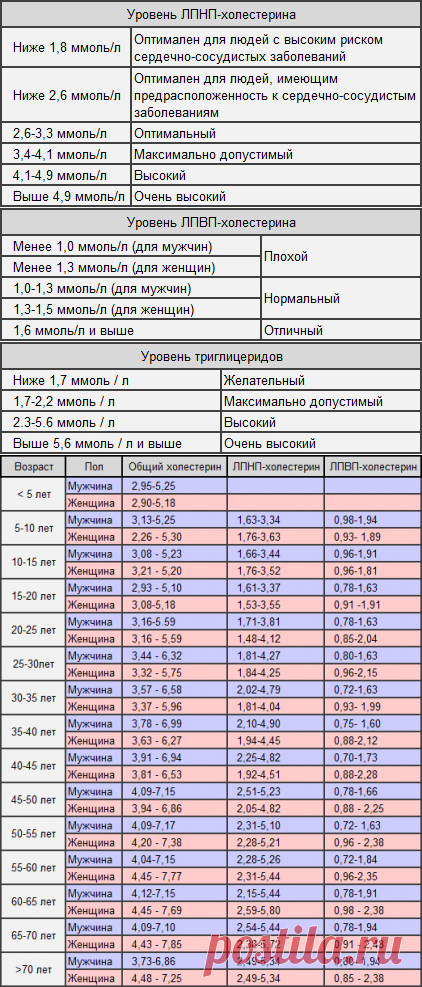 Холестерин: норма в крови у женщин и мужчин. Какой уровень считается нормой? | Сам себе Гиппократ