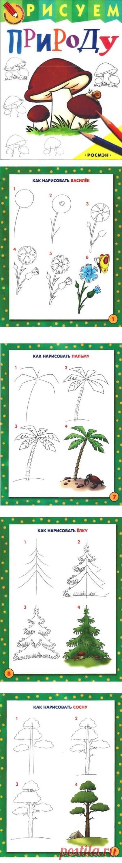Рисуем природу. Как нарисовать василек, пальму, елку, сосну, подсолнух, дуб, горы, лес, море - Поделки с детьми | Деткиподелки