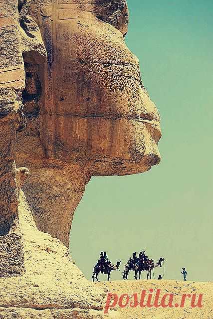 Большой Сфинкс на западном берегу Нила в Гизе — древнейшая сохранившаяся на Земле монументальная скульптура. Египет