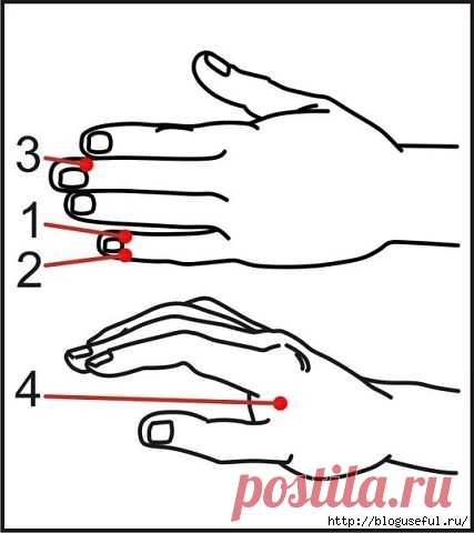 Массажируем биологически активные точки для повышения работоспособности