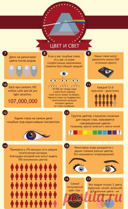 50 интересных фактов о глазах