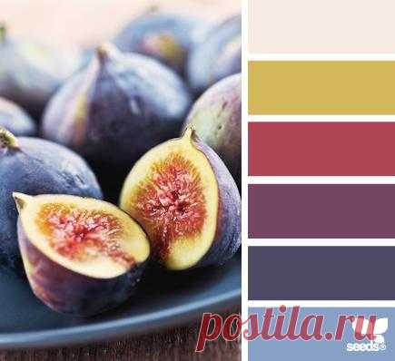 Design Seeds® | find your palette