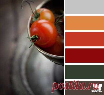 Design Seeds® | find your palette