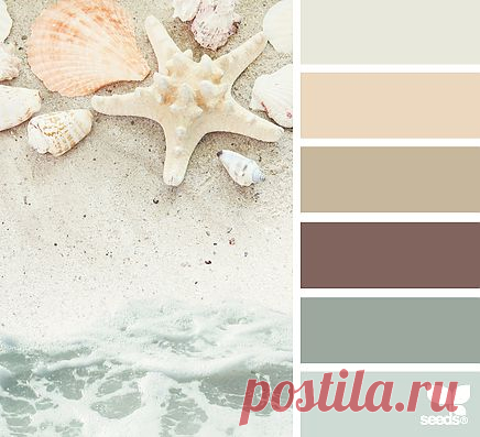 Design Seeds® | find your palette