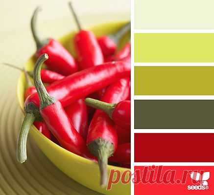 Design Seeds® | find your palette