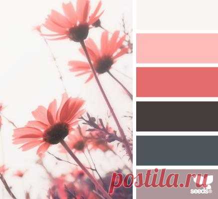 Design Seeds® | find your palette