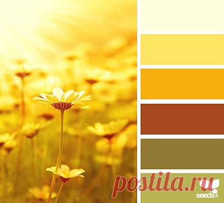 Design Seeds® | find your palette