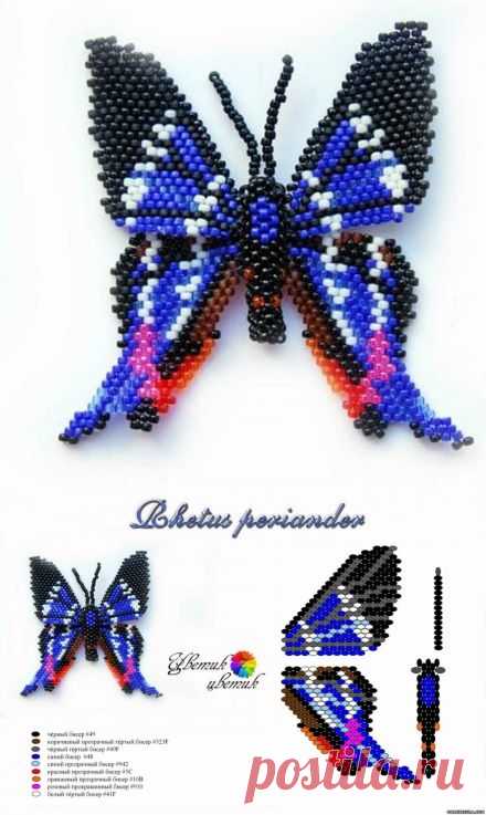 Схема плетения бабочки из бисера. Насекомые из бисера схемы плетения | Домоводство для всей семьи