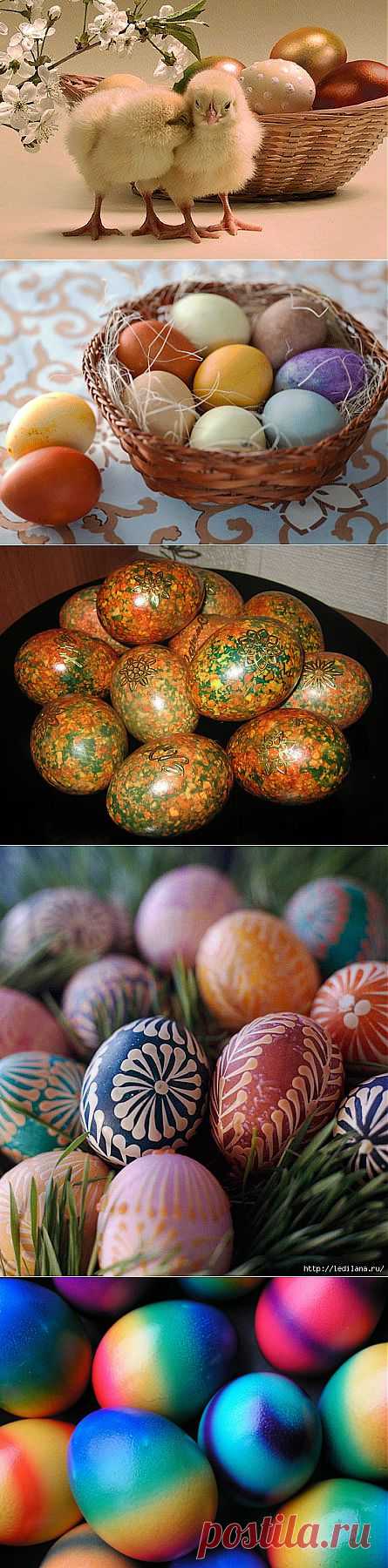 О дарении крашеных яиц на Пасху. Традиция красить яйца на Пасху. | Познавательный сайт ,,1000 мелочей"