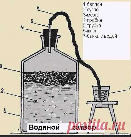 Рецепты домашних вин из винограда
Показано , как делать водяной затвор. Очень нужная штучка