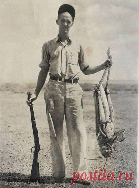 Самый большой кузнечик был подстрелен в 1937 году.﻿