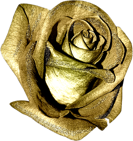 zolotye-cvety2.gif (448×474)