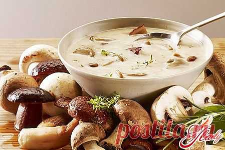 Суп грибной: как варить вкусный суп с грибами