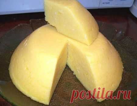 Переметный сыр (старинный рецепт) | Деревенское хозяйство