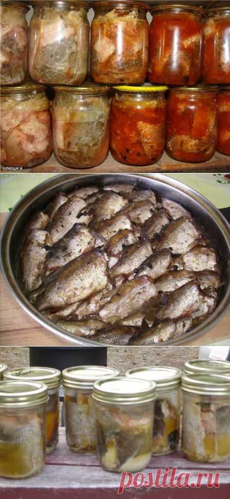 Изготовление рыбных консерв | Охота и рыбалка