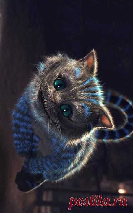 Cheshire Cat