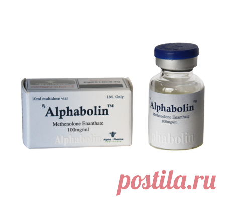 Alphabolin
Альфаболин 100 мг 10 мл

Инъекционные Стероиды

Ингридиент: Enanthate Methenolone
Производитель: Альфа-Фарма

Альфаболин вводимая версия стероидного Енантате Метенолоне и, хотя он производит более слабое влияние чем Дека-Дураболин это очень хороший основной стероид влияния которого большей частью анаболитны. Факт что Эстер энантате добавлен к этому стероиду включает медленный и постепенный отпуск от места впрыски.