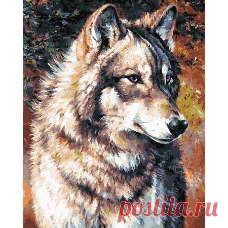 Картина по номерам Волк, Brushme, GX40307 - описание, отзывы, продажа | CultMall