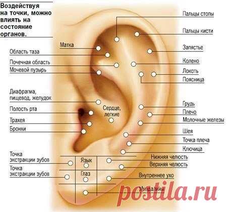 Массаж ушей и его польза
