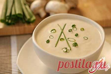 Суп пюре из шампиньонов: рецепт на пике кулинарной моды