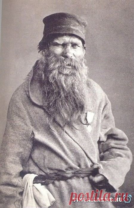 Ветеран... 1890 год
