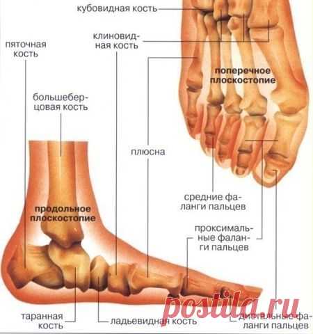 КОМПЛЕКС УПРАЖНЕНИЙ ДЛЯ ЛЕЧЕНИЯ ПЛОСКОСТОПИЯ.