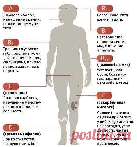 Как понять, в каких витаминах нуждается организм
Забирайте к себе на страничку!