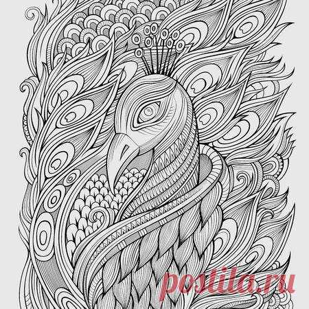 Decorative abstract ornamental peacock background. Vector illustration 123RF - Миллионы стоковых фото, векторов, видео и музыки для Ваших проектов.