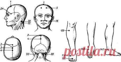 Самомассаж при головной боли | Правила здоровья и долголетия