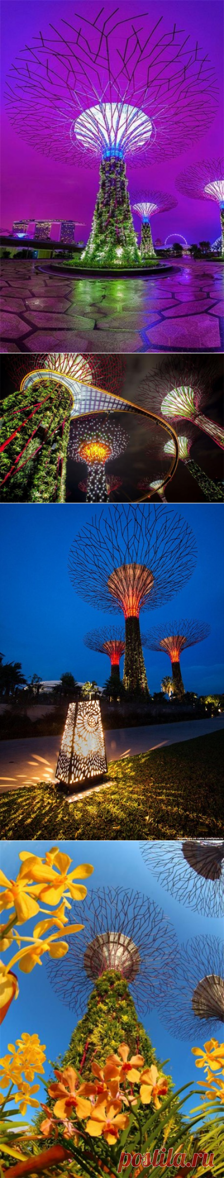 Футуристические прибрежные сады в Сингапуре — VilingStore