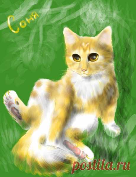 Cat. Gift by Romashik-arts on DeviantArt