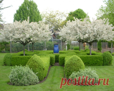 Сад в английском стиле на Вашем участке - 64 фото примера Сад в английском стиле - уголок гармонии и спокойствия. Его основой служит ровный газон на открытом пространстве.