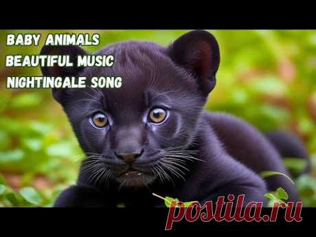 🎵Symphony of Cuteness: Baby Animals and Nightingale Melodies🐻 #relax #nature #animals