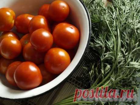 Рецепт консервирования помидоров с морковной ботвой - рецепт с фото