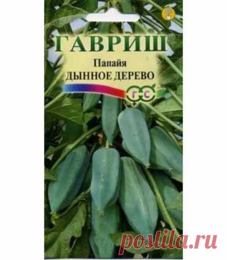 Папайя Дынное дерево (3 шт.) Гавриш семена недорого | Купить с доставкой по всей РФ Папайя – тропическое растение из семейства Папайевых, его высота зависит от емкости контейнера и колеблется от 1м до 2,5 м. Купить семена Папайи Вы можете здесь.