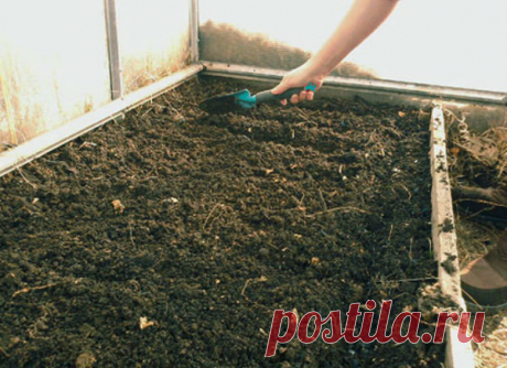 Теплица: здоровая почва - гарантия урожая | Садовое обозрение | Яндекс Дзен