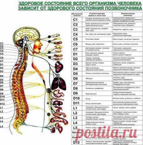 ИДЕАЛЬНАЯ ХОЗЯЙКА. Уют. Здоровье. Красота.