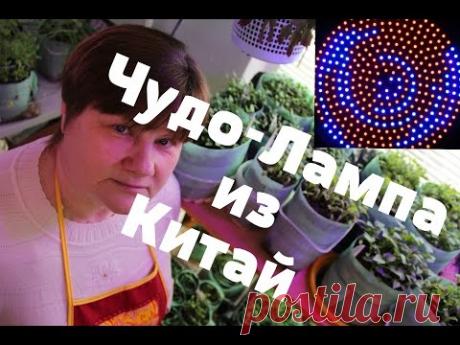 Чудо-Лампа для рассады из Китай.