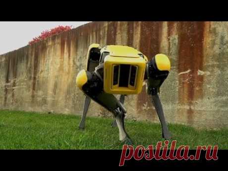 (8) Boston Dynamics teases updated robot dog, SpotMini - YouTube