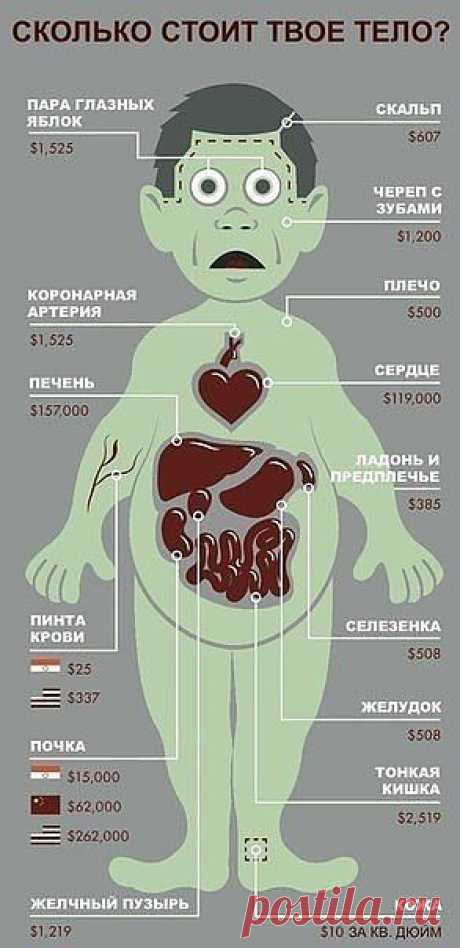Самое интересное в мире: Сколько стоит тело - natali5357@mail.ru - Почта Mail.Ru