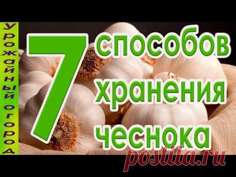 7 СПОСОБОВ ХРАНЕНИЯ ЧЕСНОКА!