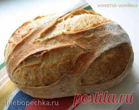 Коммунальный хлеб на закваске (Pane Comune con Lievito Madre) - ХЛЕБОПЕЧКА.РУ - рецепты, отзывы, инструкции, обзоры