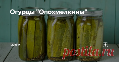 Огурцы "Опохмелкины" Есть в Голландии не только вкуснючая селёдка, но и странные удивительные  огурцы, которые мои товарищи тут же прозвали «опохмелкиными». Близятся  два мужских праздника, равно важные в жизни настоящего джентльмена –  день, когда он будет Героем, поздравляющим любимую Валентинкой, и день,  когда он будет Героем, принимающим поздравления за причастность к армии…
Понятно, что праздники принято