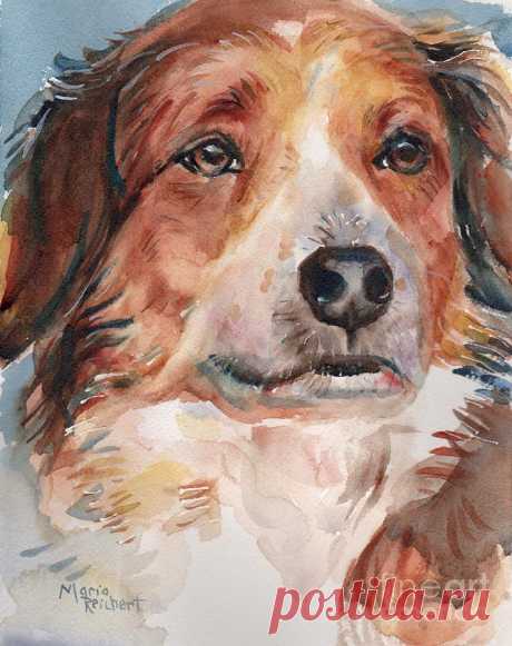 Dog Painting In Watercolor by Maria Reichert Dog Painting In Watercolor Painting by Maria Reichert