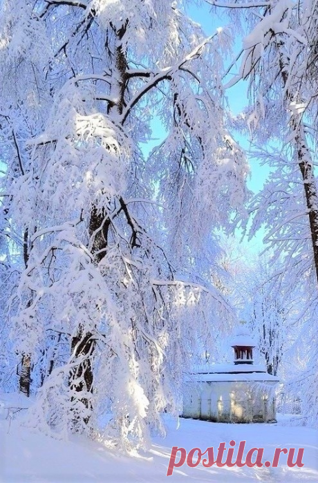 🎅❄️☃️․․․Բարի լույս!․․․☃️❄️🎅
Ձմօան հաճելի,ջերմ և երջանիկ օր՝ բոլորիս․․․!🌤❄️
Որքան գեղեցկություն կա...🤗Ձմերը իր ողջ հմայքով․․․ ❤️❄️
Թույլ տուր քեզ երազել և երազանքդ նկարի գեղեցիկ գույներով ...❤️✨❄️