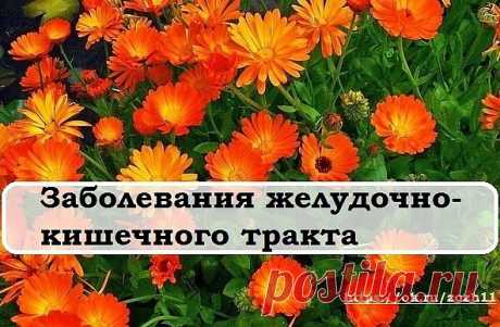 Гастрит, язва

Календула относится к немногим лекарственным травам, которые оказывают
мягкое и в то же время сильное положительное влияние на желудок и другие
органы пищеварительной системы. Календула принимается как
самостоятельно, так и в травяных сборах. От каждого заболевания существуют
свои проверенные на опыте и научно доказанные рецепты. Однако в случае 
острых патологий или серьезных заболеваний перед употреблением 
натуральных лекарств необходима врачебная консуль...