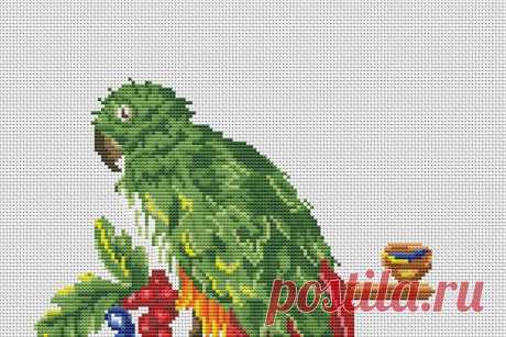 Vintage Cross Stitch Scheme Parrot and berries (2133251) | Cross Stitch | Design Bundles