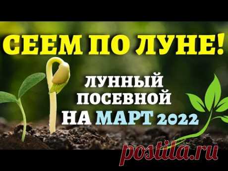 ТОЧНЫЙ ЛУННЫЙ ПОСЕВНОЙ КАЛЕНДАРЬ НА МАРТ 2022 по дням  #лунныйпосевнойкалендарь #март2022