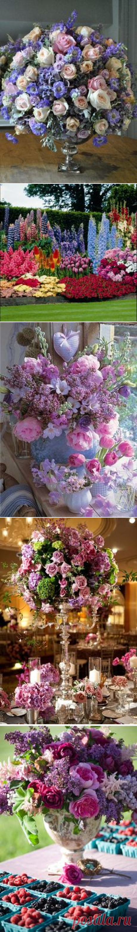 FLOWERS on Pinterest